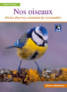 Nos oiseaux