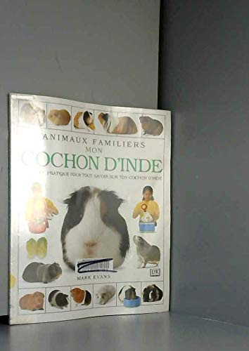 Mon cochon d'Inde